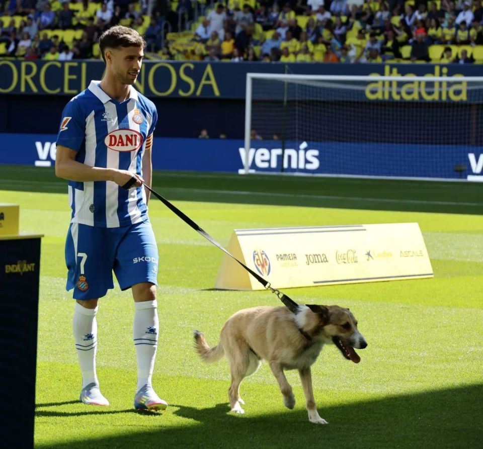 巴萨客场挑战比利亚雷亚尔,能否全身而退?的简单介绍 巴萨客场挑战比利亚雷亚尔,能否全身而退?的简单介绍